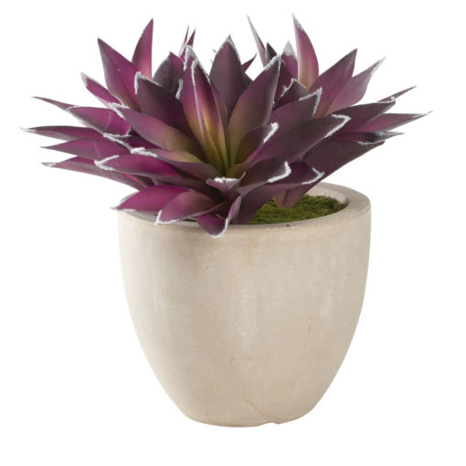 Lavender/Green Aloe in XS Grove Planter - 321272