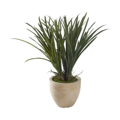 Areca Grass in Grove Planter - 321276