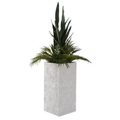 51" Mother-in-Law's Tongue, Staghorn Fern, Jade Plant, and Palm Fronds in Medium Everett Planter - 321277