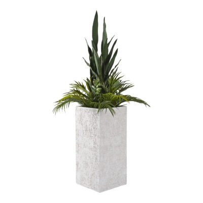 Sansevieria, Staghorn Fern, Jade Plant & Palm Fronds in Everett Planter - 321277