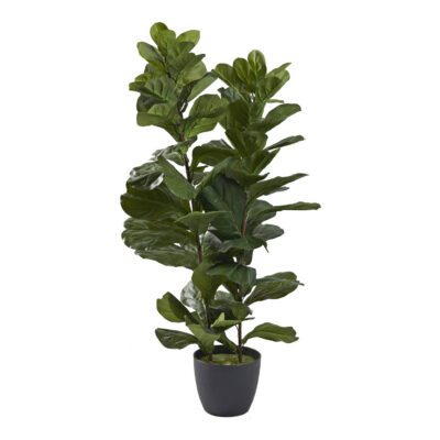 Fiddle Leaf Fig Tree 4.5' - 321287