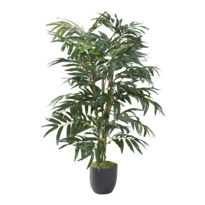 Phoenix Palm 3.3' - 321289