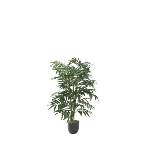 Phoenix Palm 3.3' - 321289