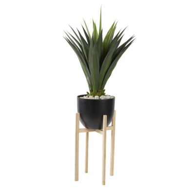 Jumbo Agave in Small Black Catalina Planter with Wood Stand - 321292