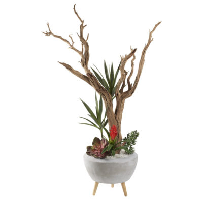 6' Ghostwood with Succulents in Large Triad Planter - 321293