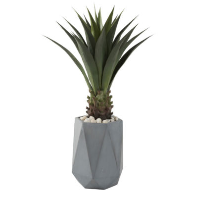 Jumbo Agave Plant in Grey Small Raye Planter - 321294