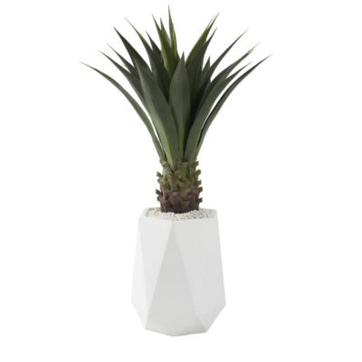 Jumbo Agave Plant in White Small Raye Planter - 321295