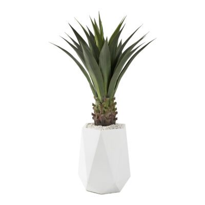 Agave Jumbo Plant in Raye Planter - 321295