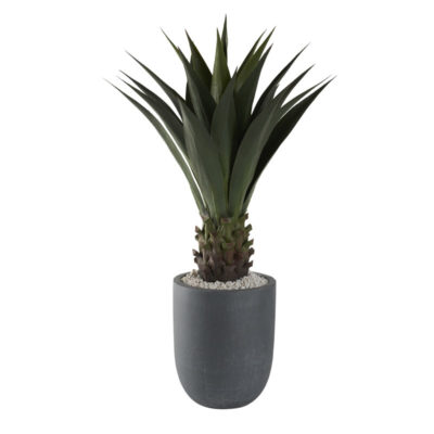 Jumbo Agave Plant in XS Campbell Planter - 321296