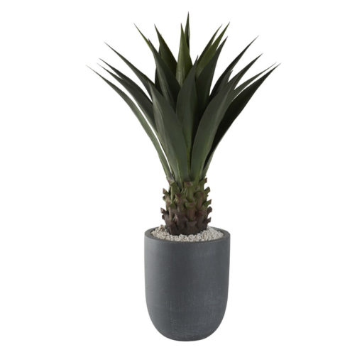 Jumbo Agave Plant in XS Campbell Planter - 321296
