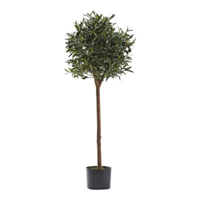 Olive Topiary 4.1' - 321299