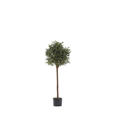 Olive Topiary 4.1' - 321299