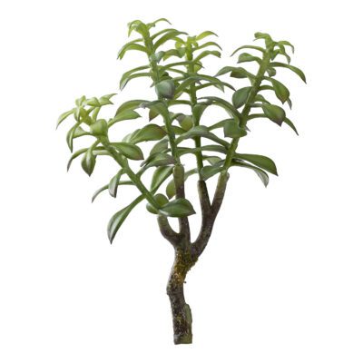 Leafy Stem - GR2035