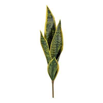 Yellow/Green Sansevieria 23" - GR2110