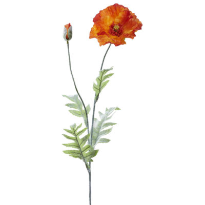 Orange Poppy Stem - FL2483