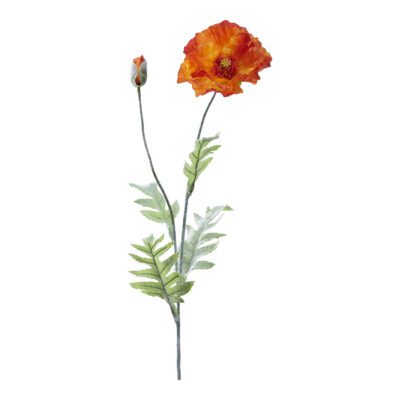 Orange Poppy Stem - FL2483