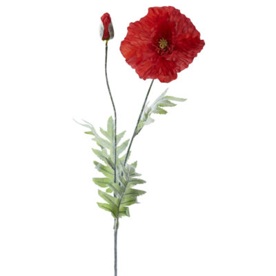 Red Poppy Stem - FL2487
