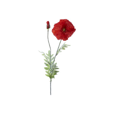 Red Poppy Stem - FL2487