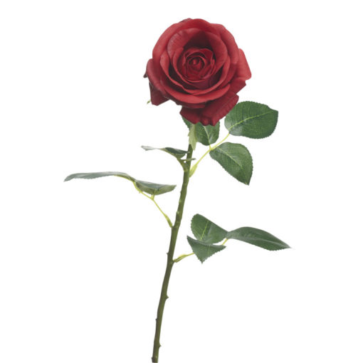 Red Natural Red Rose Stem - FL2519
