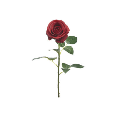Red Natural Red Rose Stem - FL2519