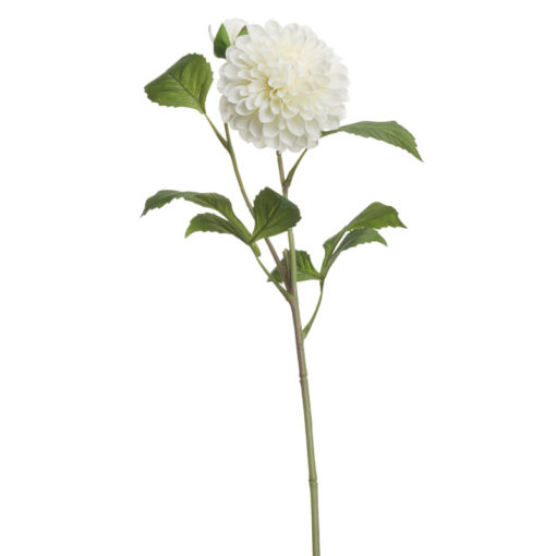 White Dahlia Stem - FL2523