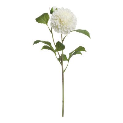 White Dahlia Stem - FL2523