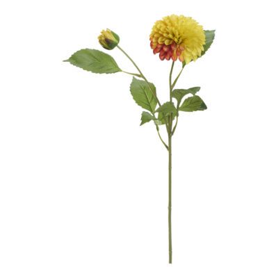 Orange/Yellow Dahlia Stem - FL2524