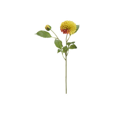 Orange/Yellow Dahlia Stem - FL2524