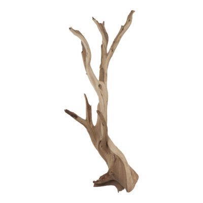 Large Ghostwood Branches - GR1702