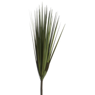 Wide Grass - GR1881