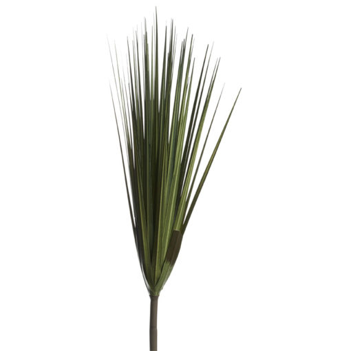 Wide Grass - GR1881