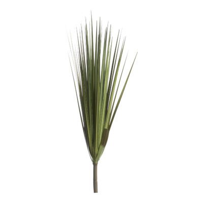Wide Grass - GR1881