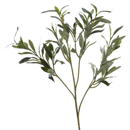 Olive Branch without Fruit - GR1946