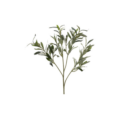 Olive Branch without Fruit - GR1946