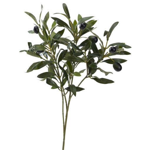 Olive Branch with Fruit - GR1947
