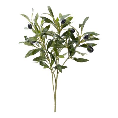 Olive Branch with Fruit - GR1947