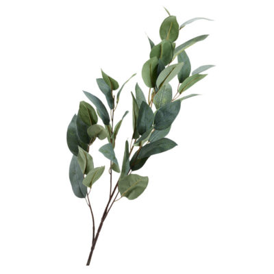 Grey/Green Eucalyptus Branch - GR2056
