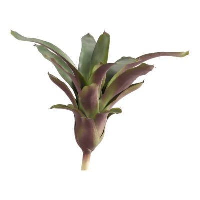 Pineapple Plant - GR2108