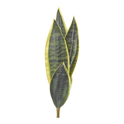 Yellow/Green Sansevieria 19" - GR2109