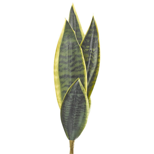23" Yellow/Green Mother-in-Law's Tongue - GR2110