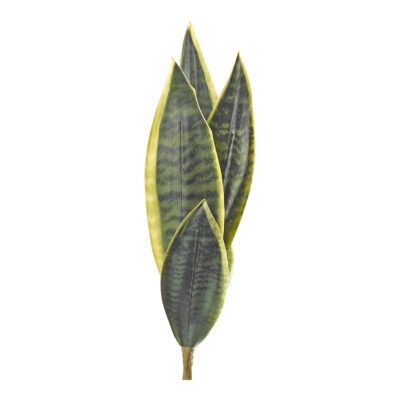 Yellow/Green Sansevieria 23" - GR2110