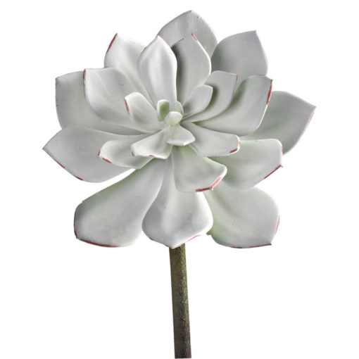Frosted Succulent - GR2113
