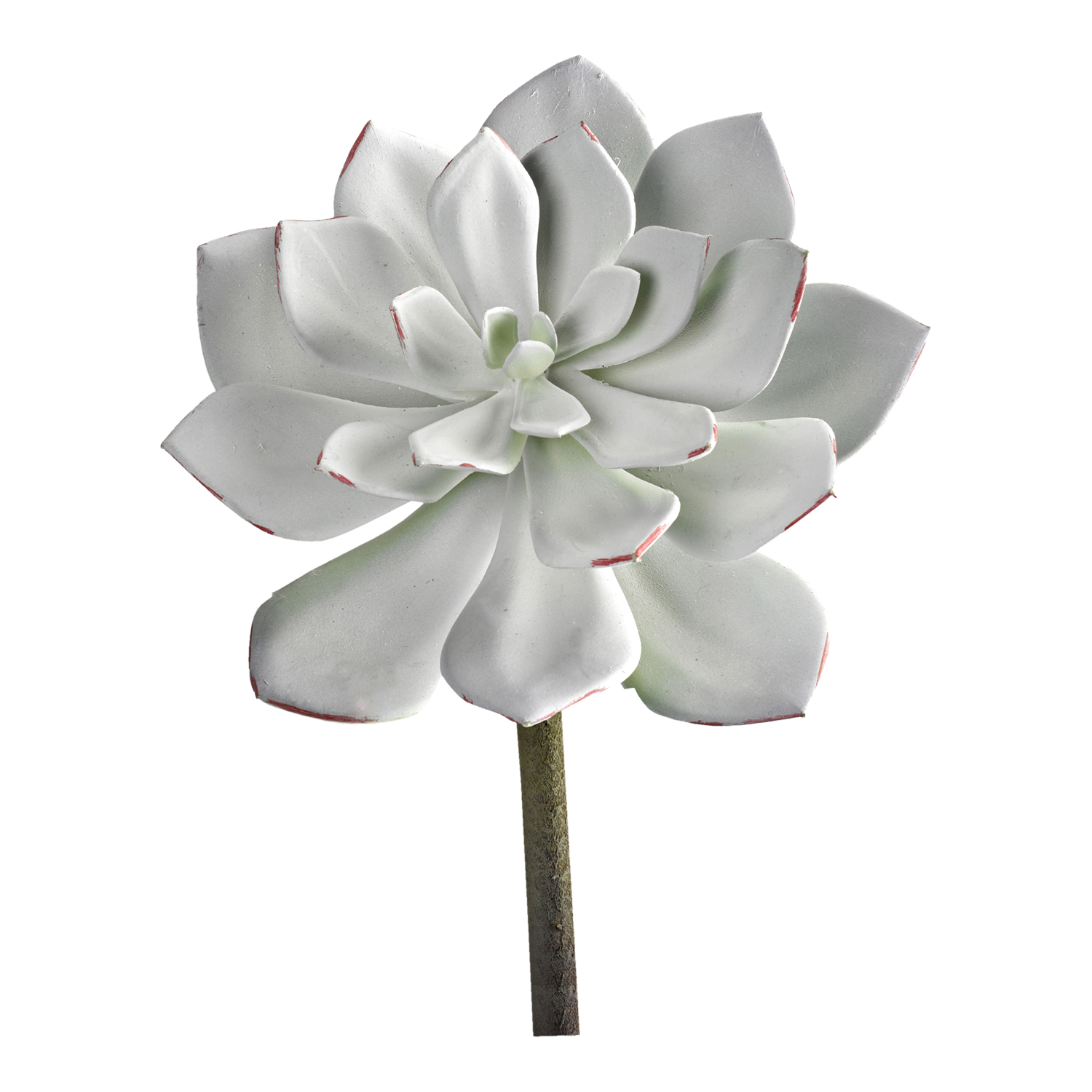 Frosted Succulent - GR2113