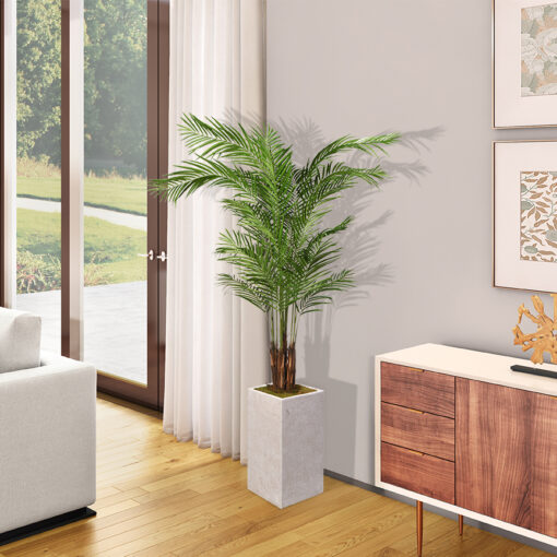 Areca Palm in Large White Everett Planter 8' - 321905 - Image 2