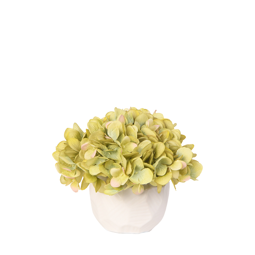Green Hydrangea in Flintstone Planter - 217018