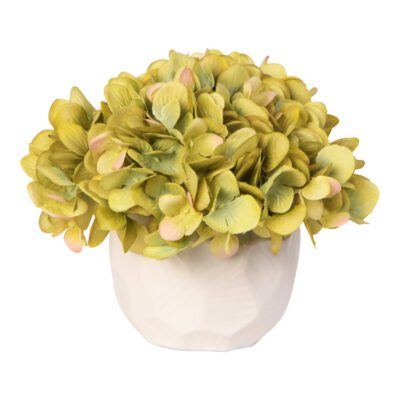 Green Hydrangea in Flintstone Planter - 217018