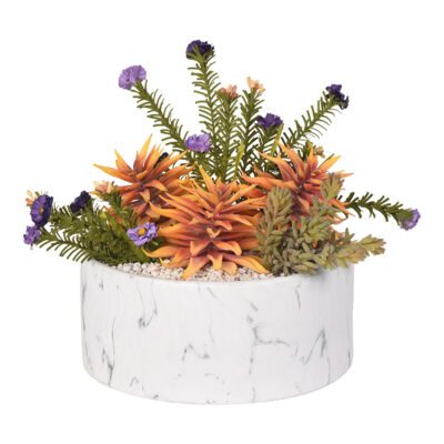 Orange Succulent with Lavender Wild Flowers in Large Cora Bowl - 217057