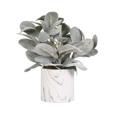 Lambs Ear in Small Cora Vase - 219004