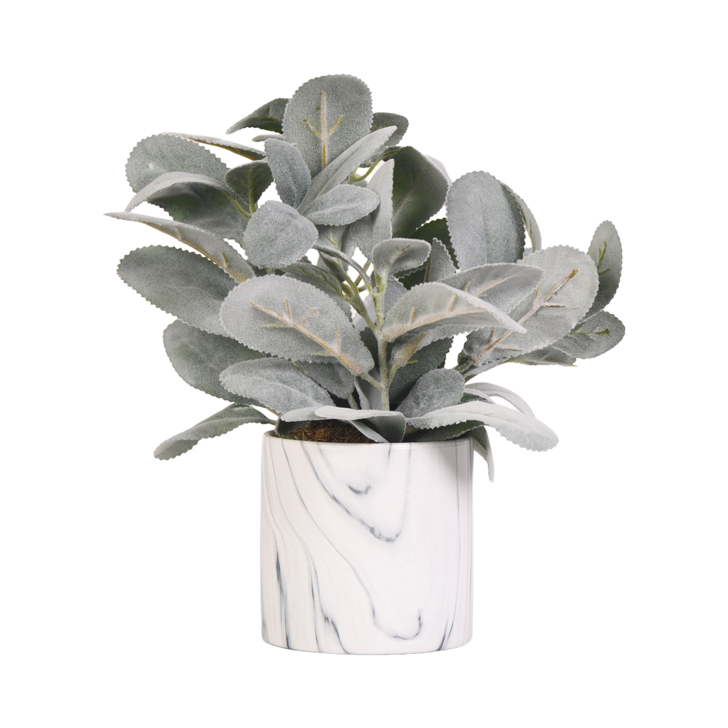Lambs Ear in Small Cora Vase - 219004