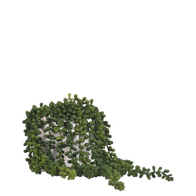 Sedum Spray in Medium White Flintstone Planter - 219008